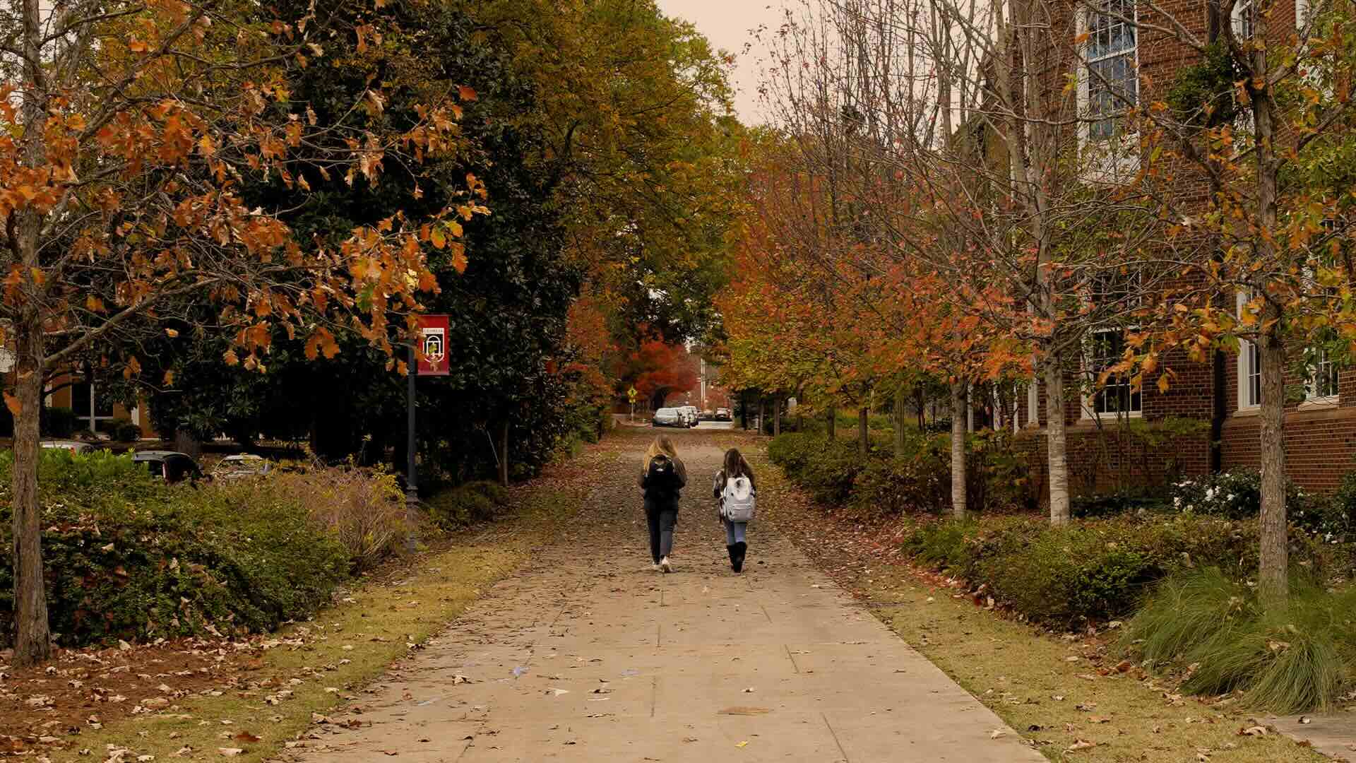 Still 3